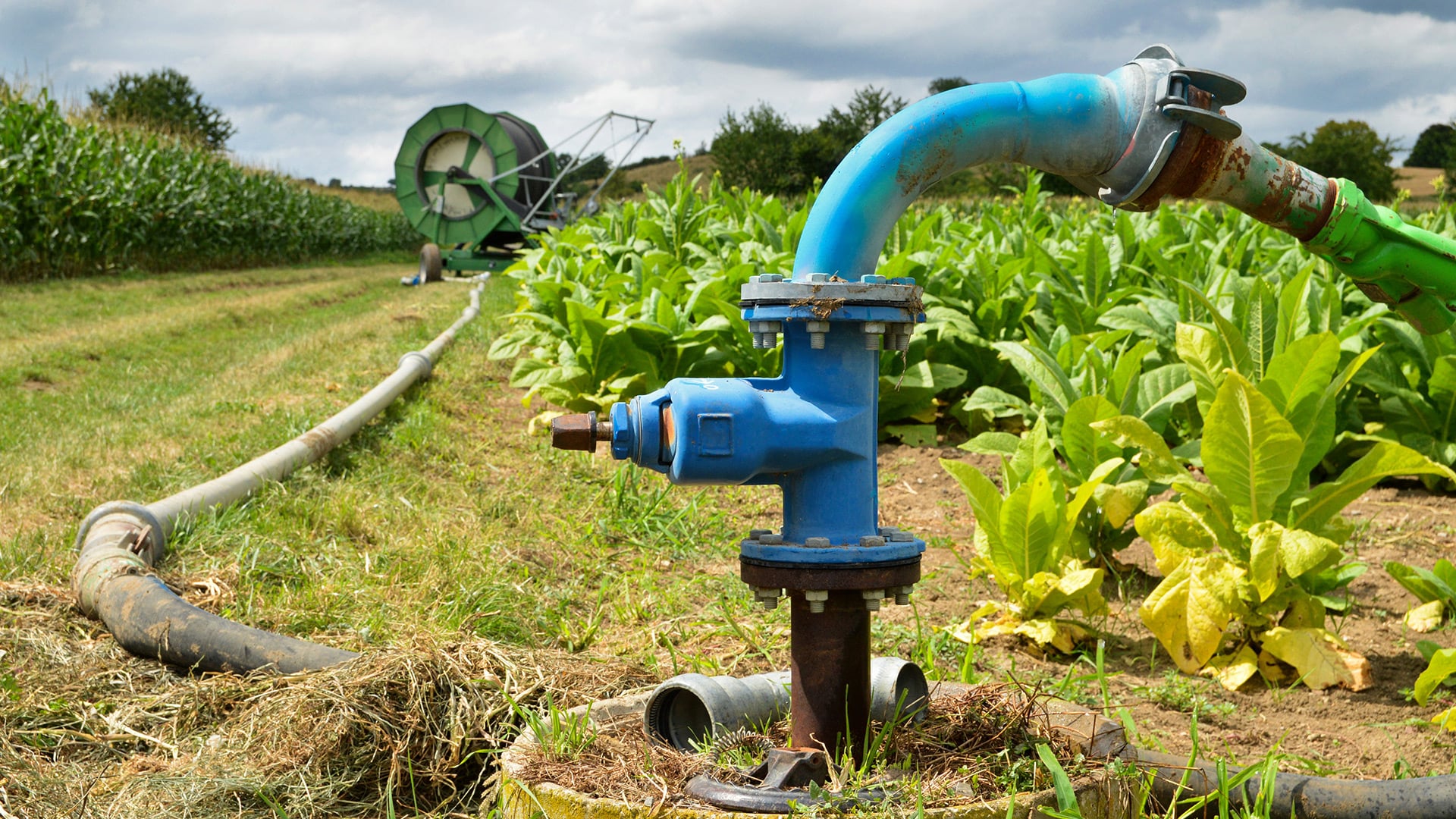 irrigation_pump_img